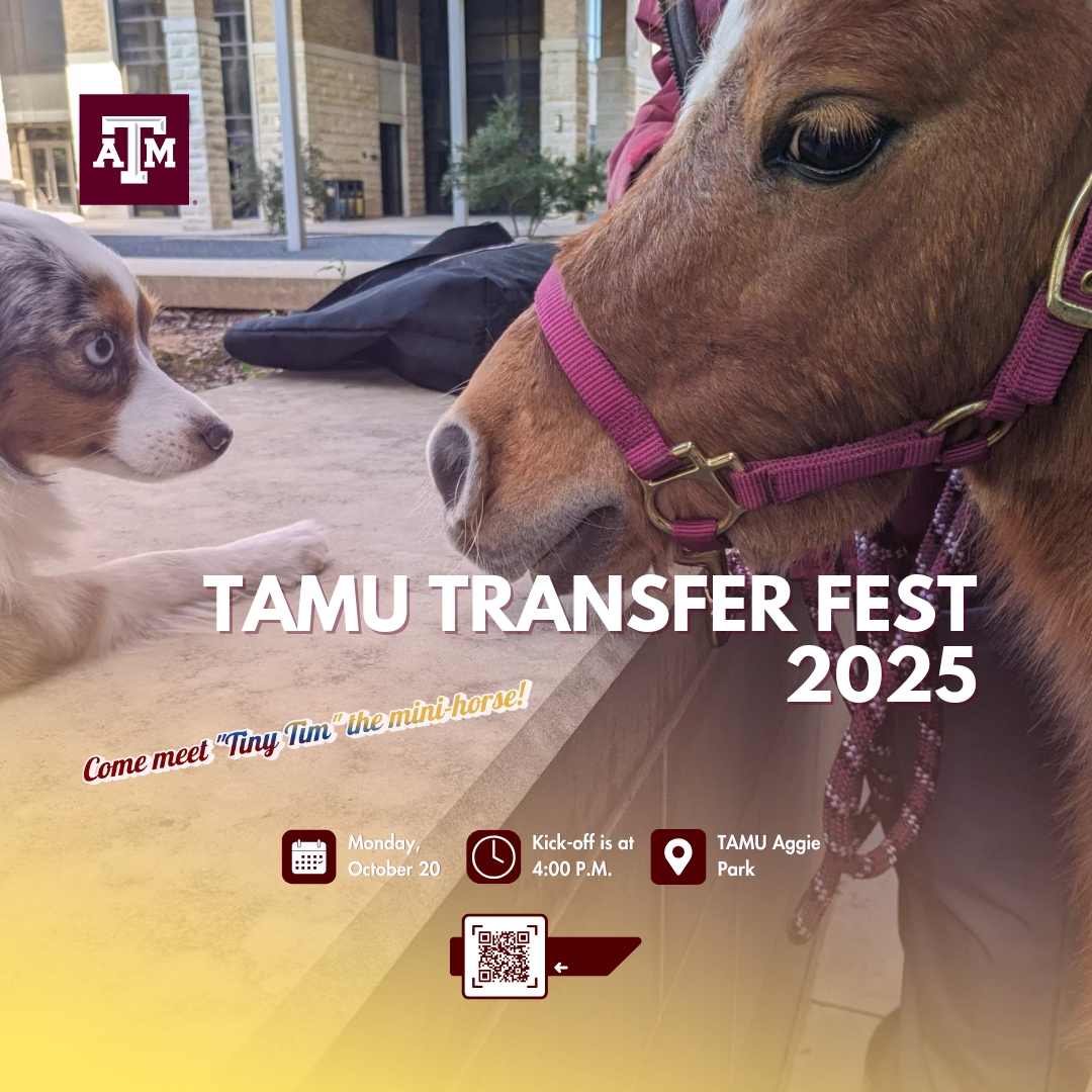 TAMU Transfer Fest 2025